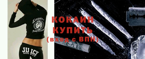 ECSTASY Богданович