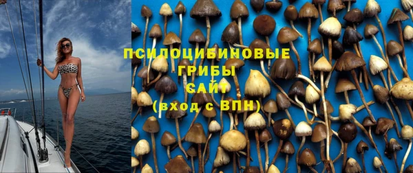 дмт Белоозёрский