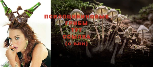 прущая мука Белокуриха