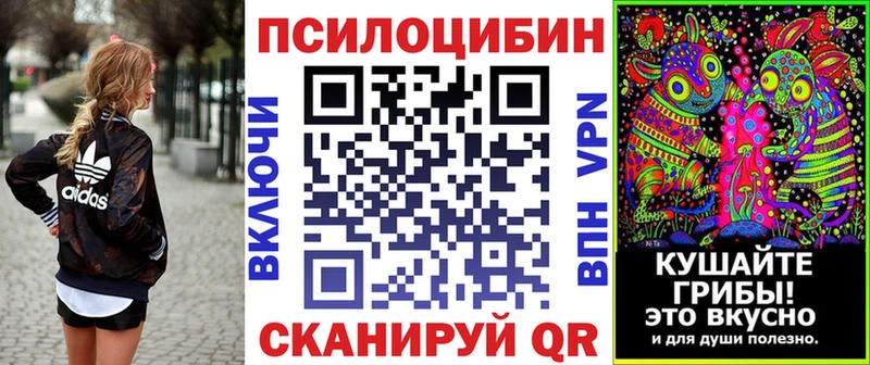 kraken как войти  Славгород  Галлюциногенные грибы мицелий  где купить наркоту 