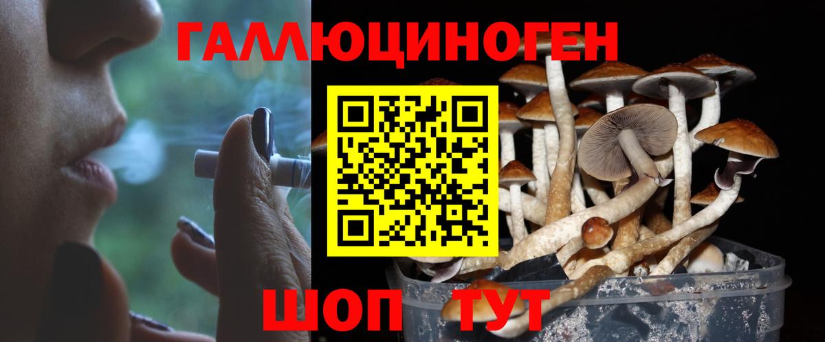 Славгород  Псилоцибиновые грибы GOLDEN TEACHER  Вход с VPN  Галлюциногенные грибы мицелий 