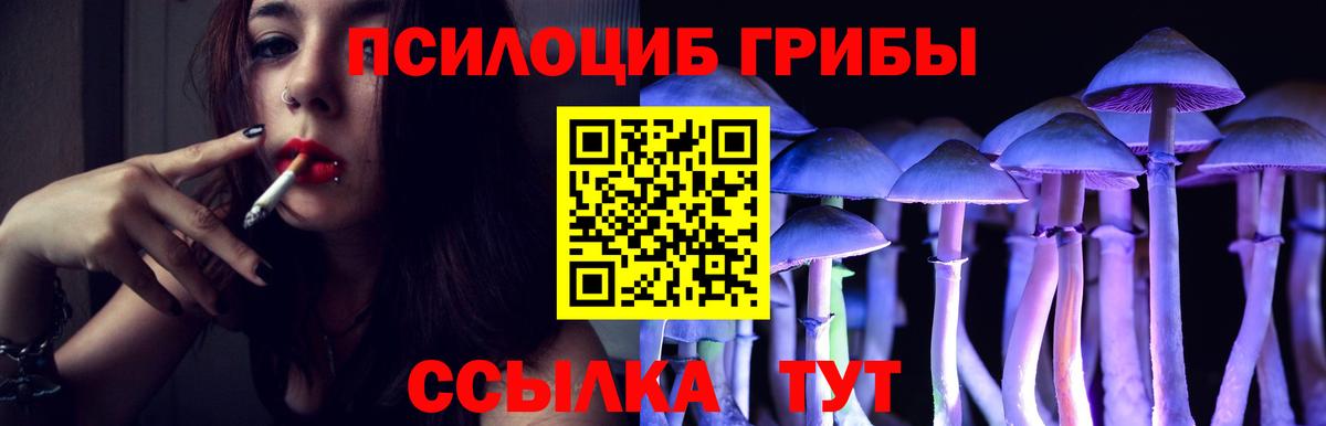 Галлюциногенные грибы Cubensis Славгород