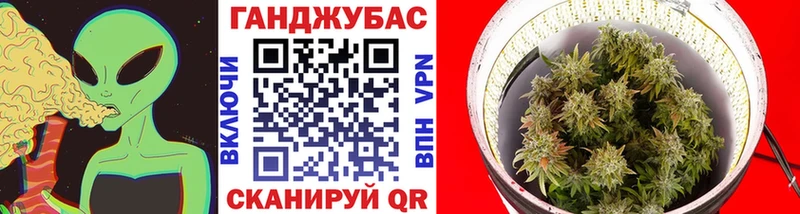 Конопля сатива  наркотики  Славгород 
